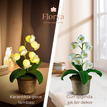 Florya Ayışığı Lamba