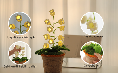 Florya Ayışığı Lamba